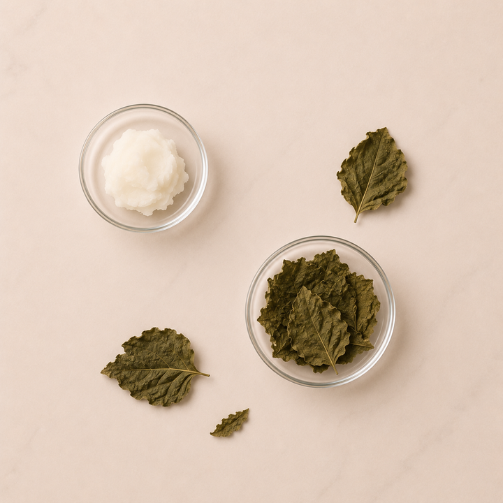Musc blanc & patchouli